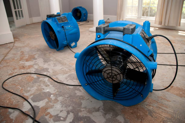 Best Water damage cleanup near me  in Argyle, TX