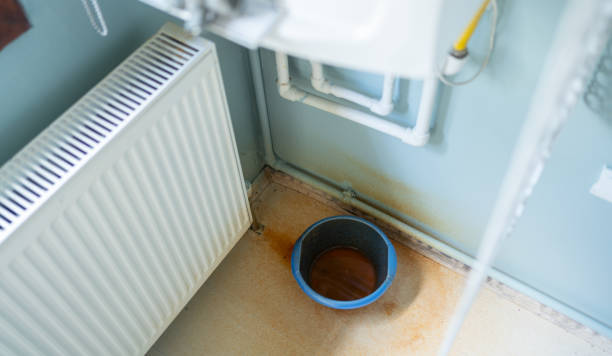 Best Professional water damage repair  in Argyle, TX