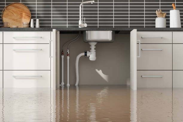 Best Mold removal after water damage  in Argyle, TX