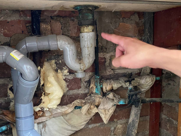 Best Local water damage restoration  in Argyle, TX